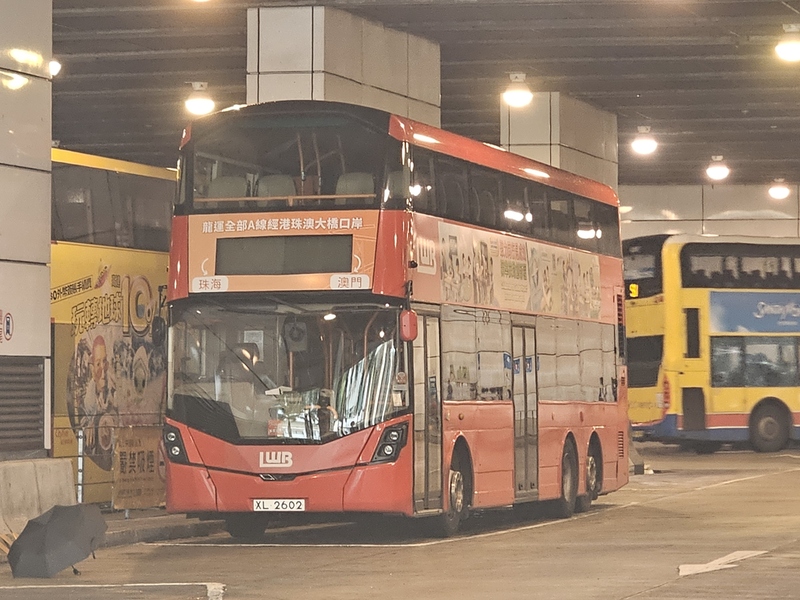 1000114415.jpg