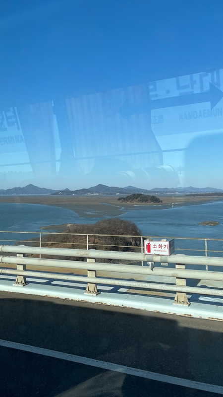 IMG_9382.jpeg