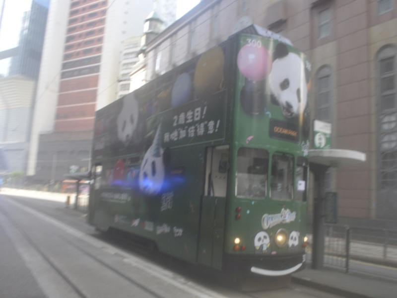 186.jpg