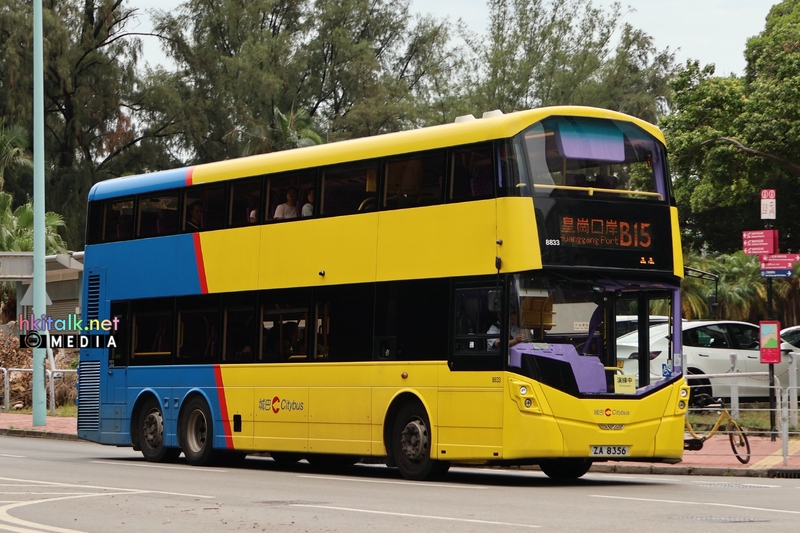 B15 (3).JPG