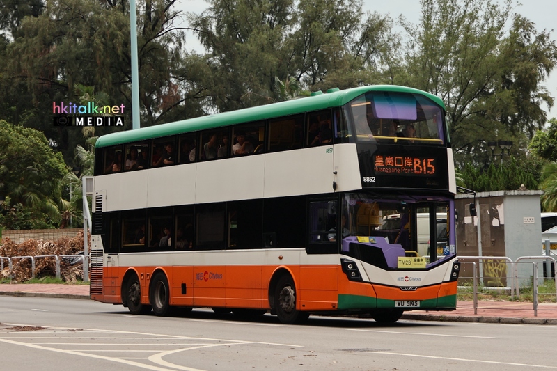 B15 (2).JPG
