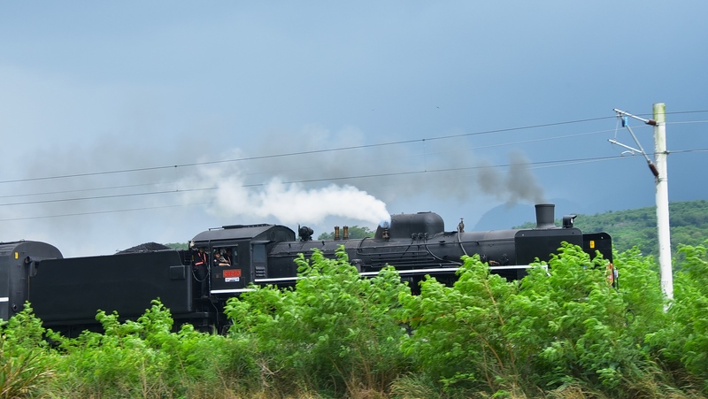 DSC_7528 - 複製.JPG