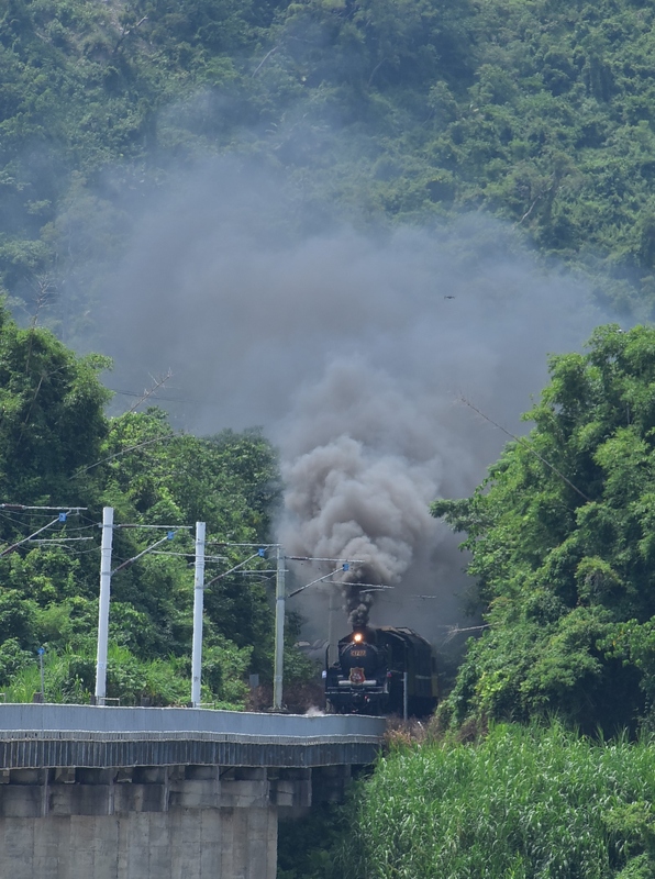 DSC_7828 - 複製.JPG