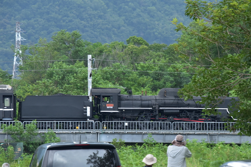DSC_8044 - 複製.JPG