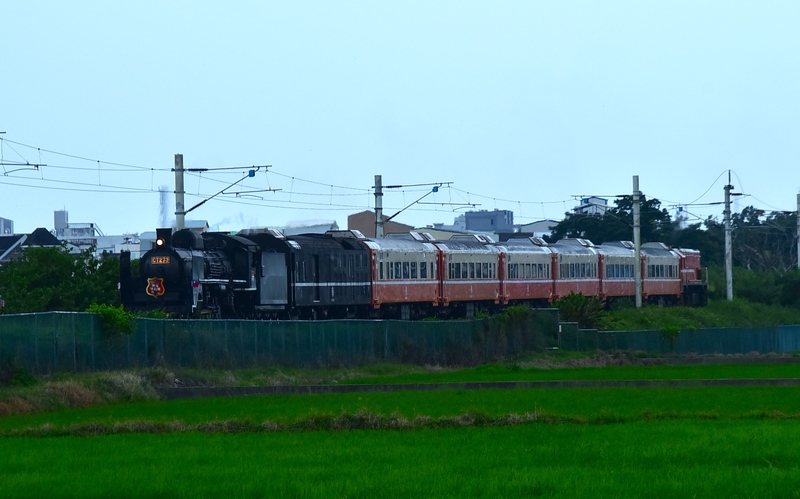 DSC_8105 - 複製.JPG