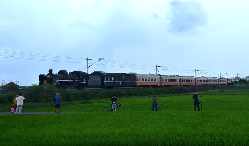 DSC_8124 - 複製.JPG