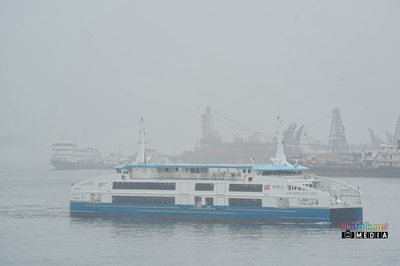 新明珠31 (1).jpeg