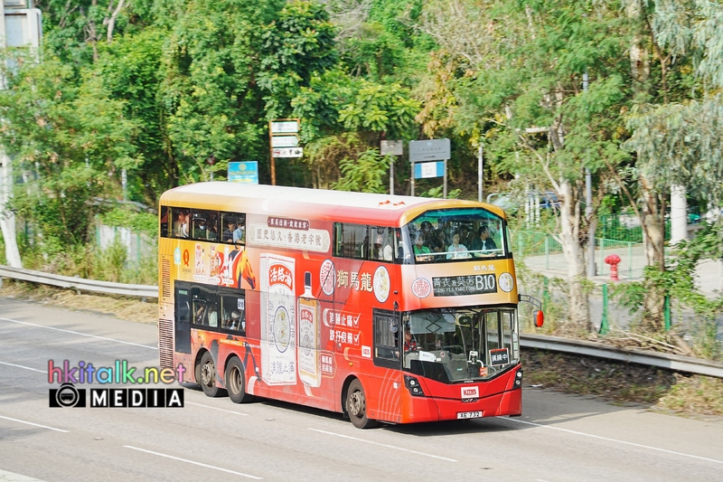 B10-B15 C (12).jpeg