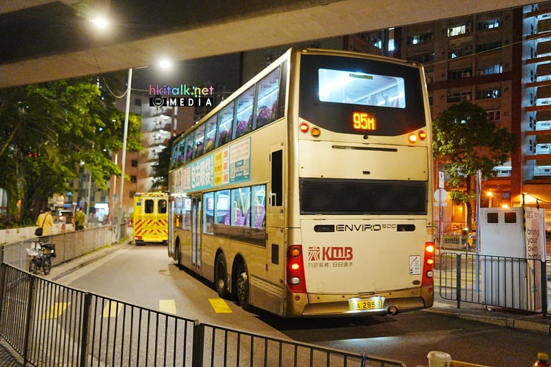 95M 1 (4).jpeg