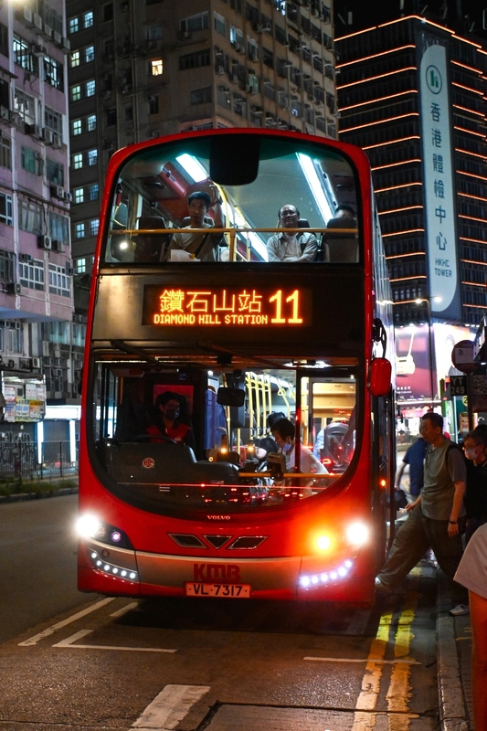 VL7317@11