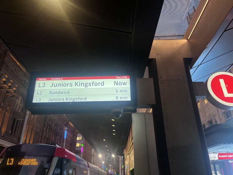 IMG_9890.jpeg
