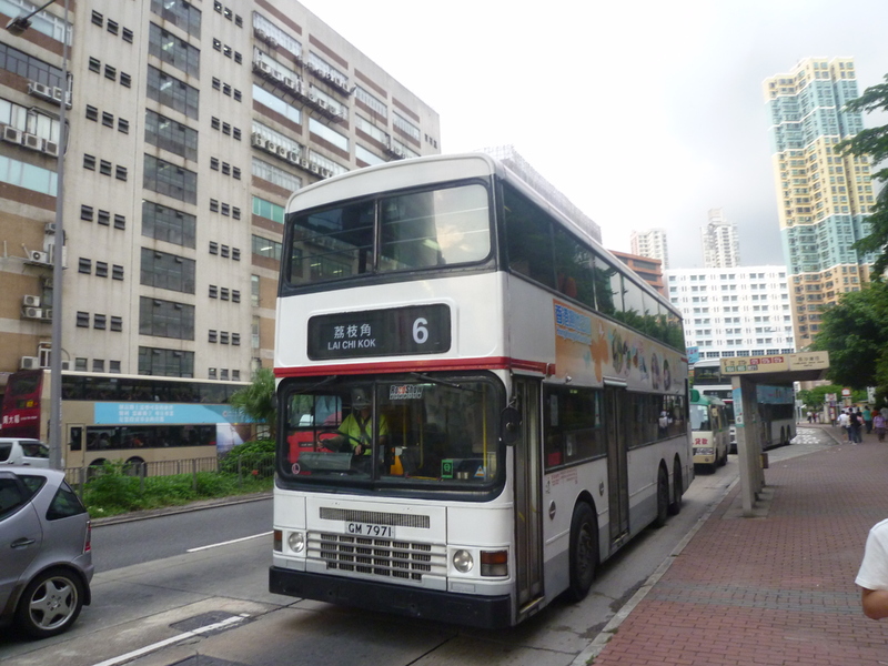 P1440975.JPG