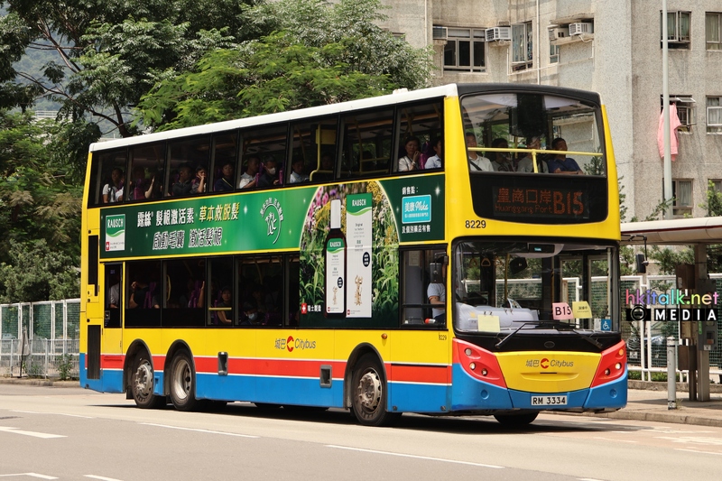 B15 (7).JPG