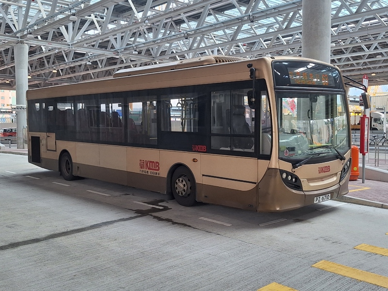 1000034177.jpg