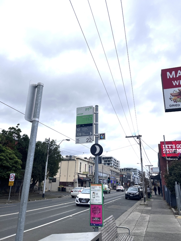 IMG_9911.jpeg