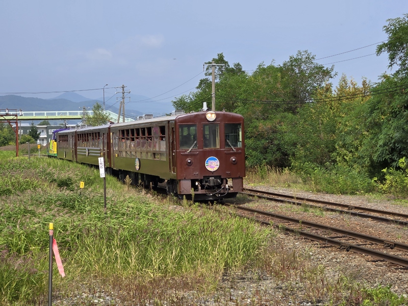 20260905_113911(0).jpg