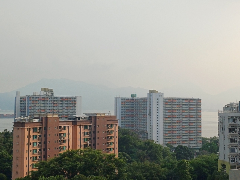 31380.jpg