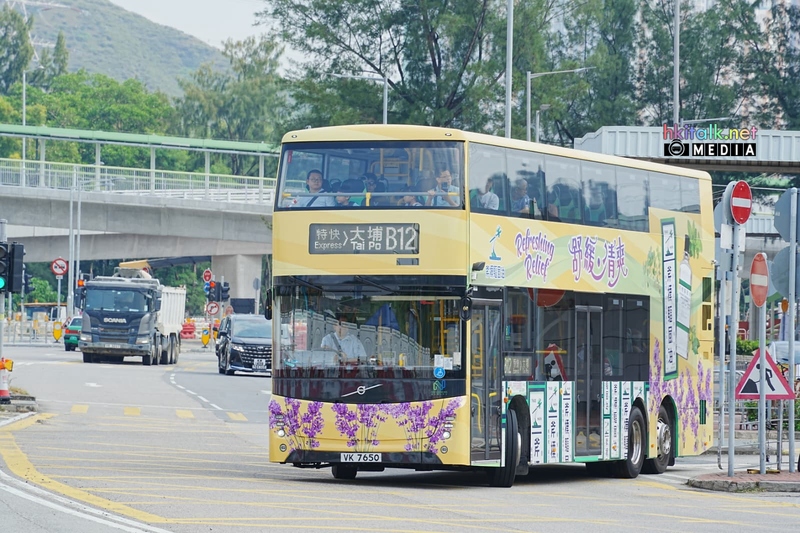 B12 S (1).jpeg