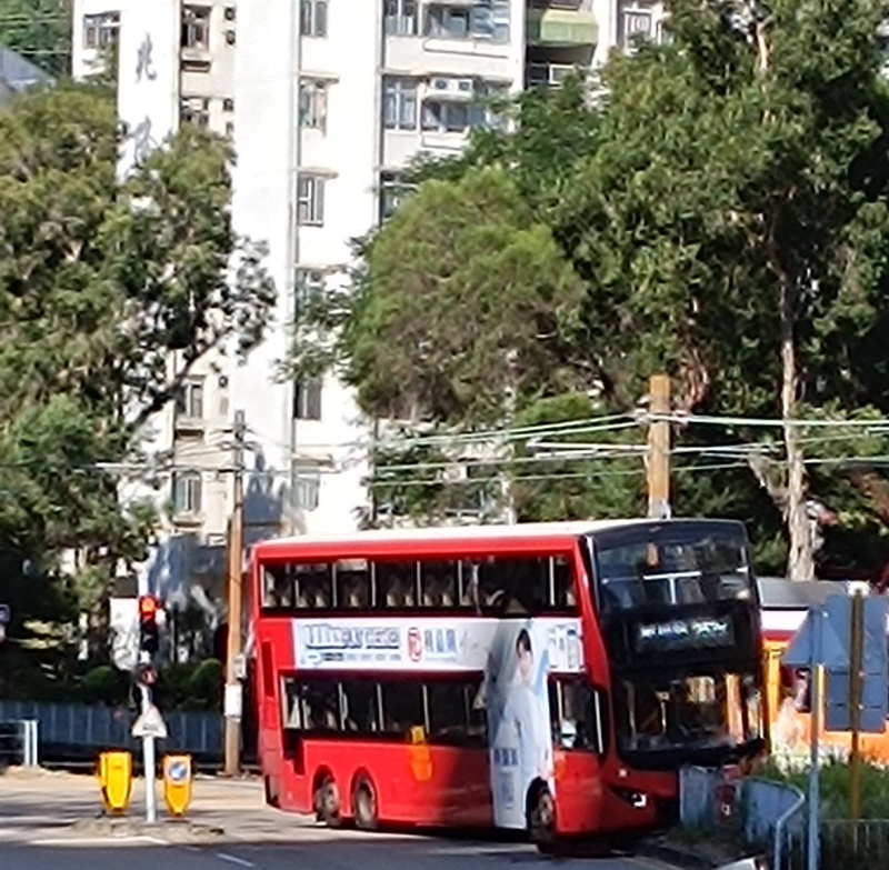 129559.jpg