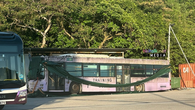 DBAY198 NA1909.jpeg