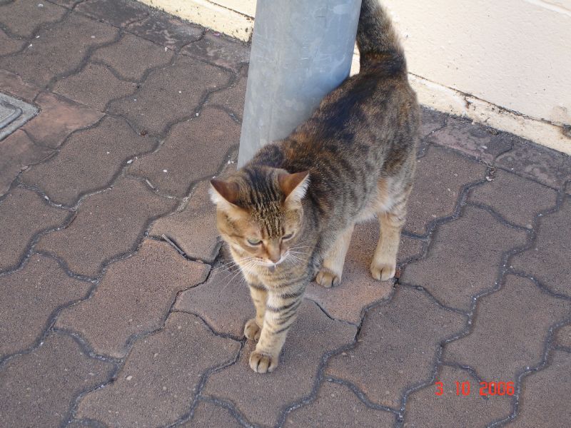 DSC01441.jpg