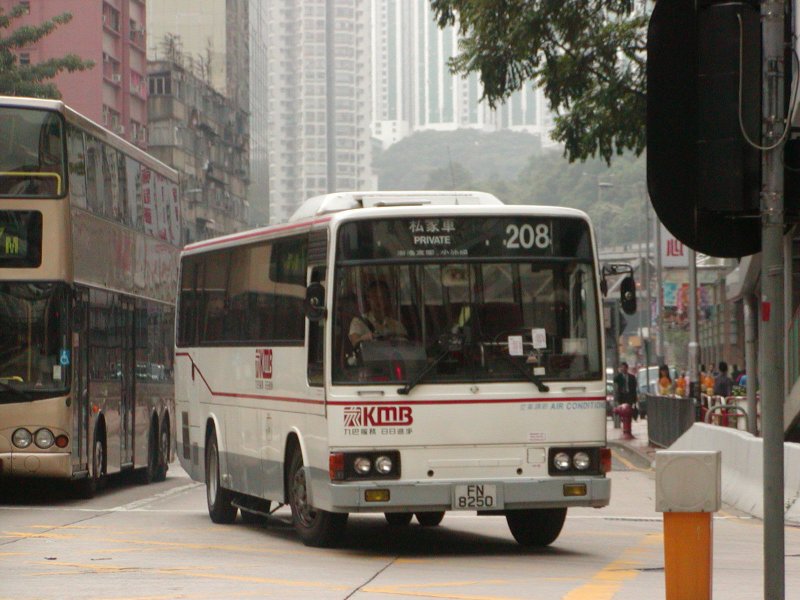 P1010005.jpg