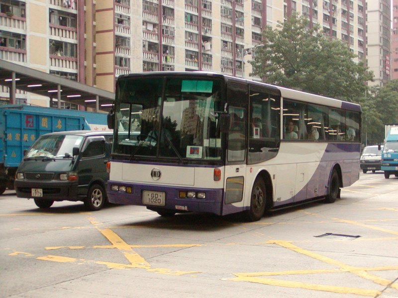 P1010006.jpg