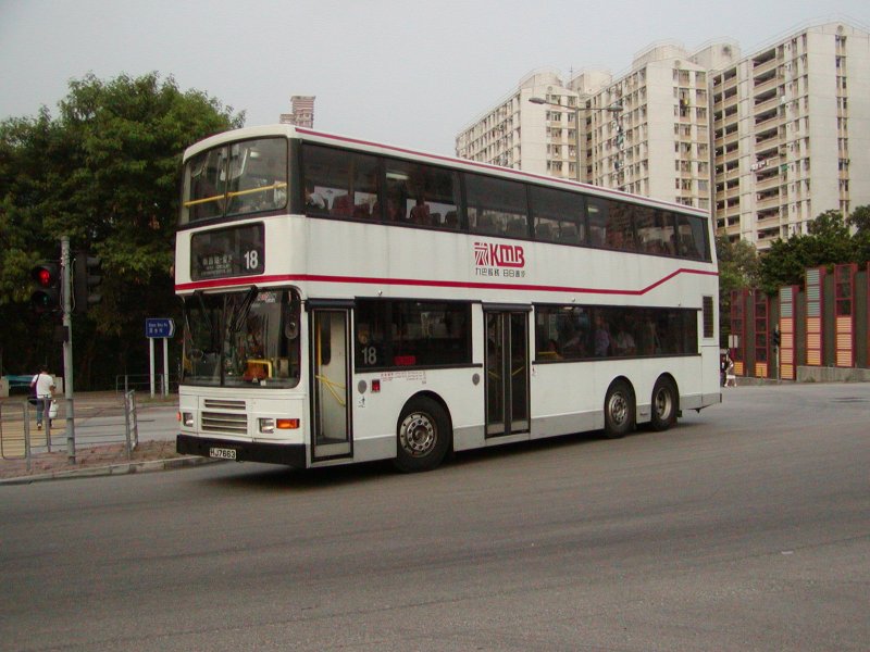 P1010013.jpg