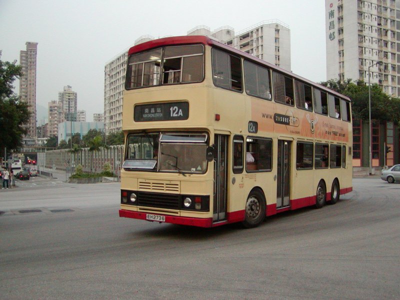 P1010017.jpg