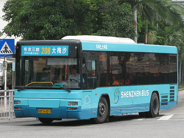 zk_208.jpg