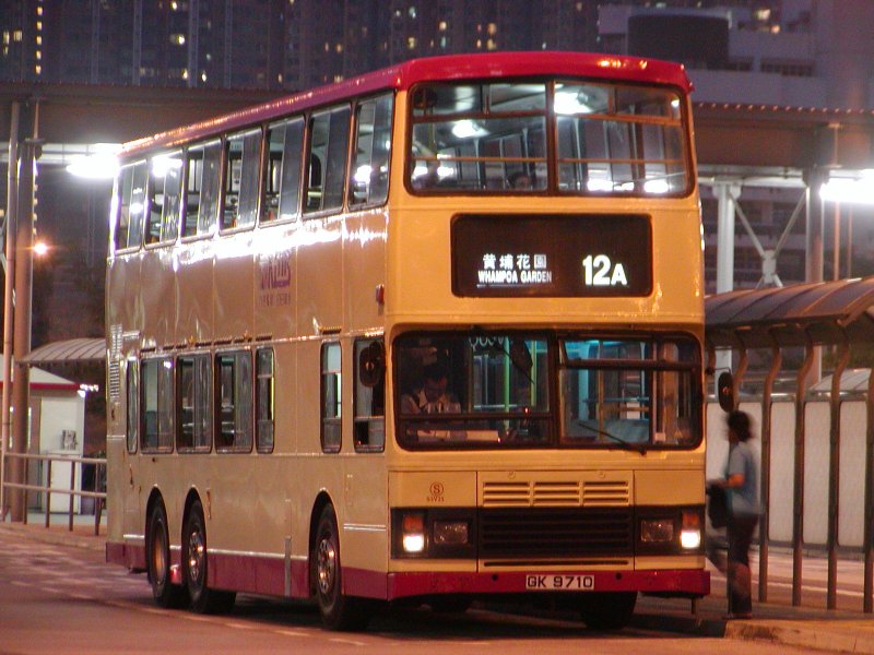 P1010027.jpg