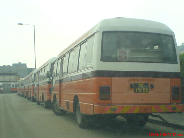 DSC01530.JPG