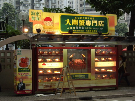 IMGP9998.JPG
