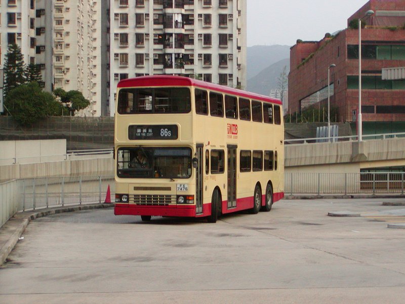 P1010003.jpg