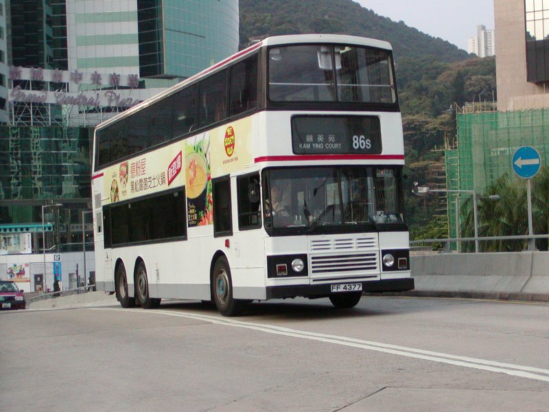 P1010005.jpg