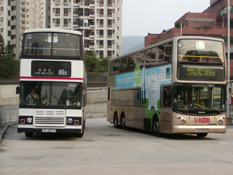 P1010007.jpg