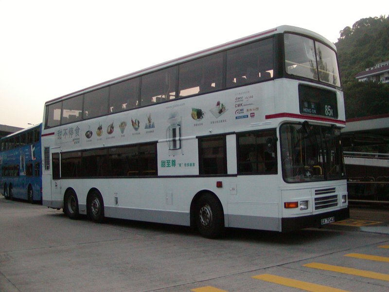 P1010010.jpg