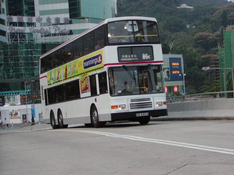 P1010021.jpg