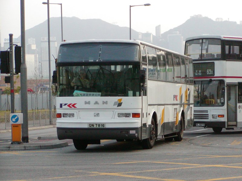 P1010011.jpg