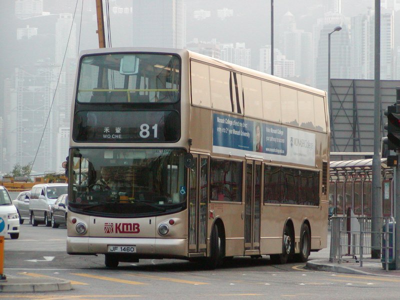 P1010032.jpg