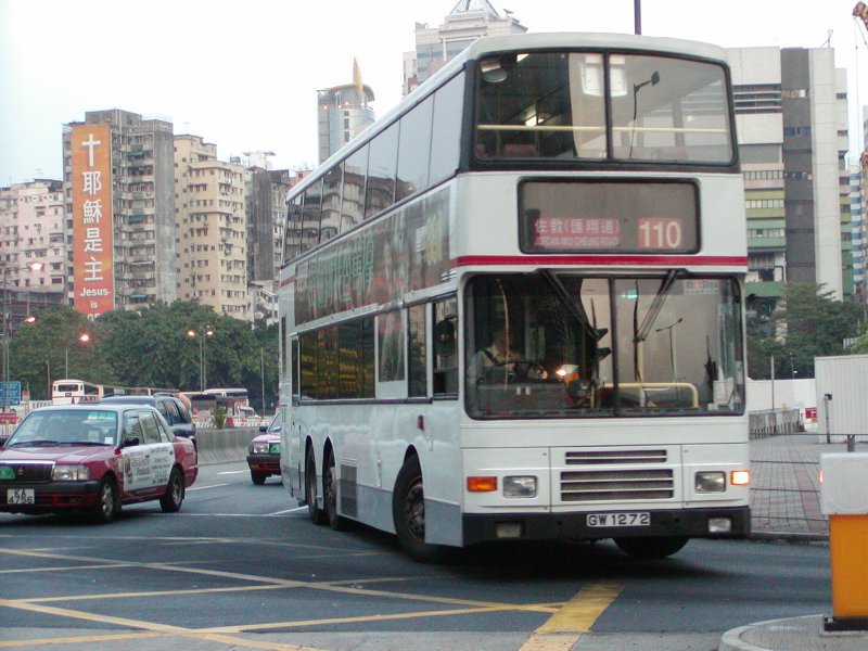 P1010046.jpg