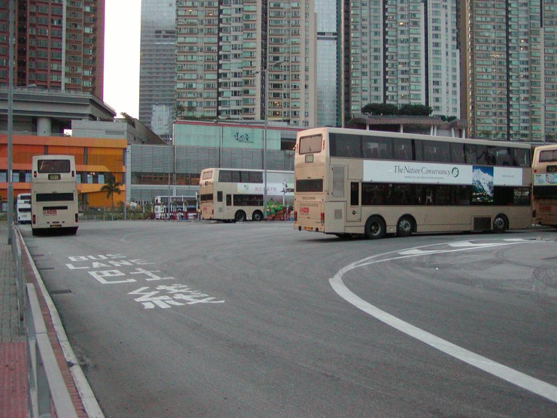 P1010053.jpg