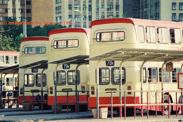 g-back-ss95.jpg