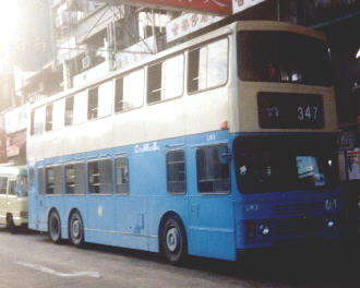 n_lm3_2.jpg
