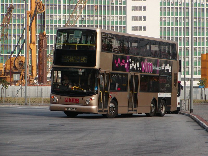 P1010011.jpg