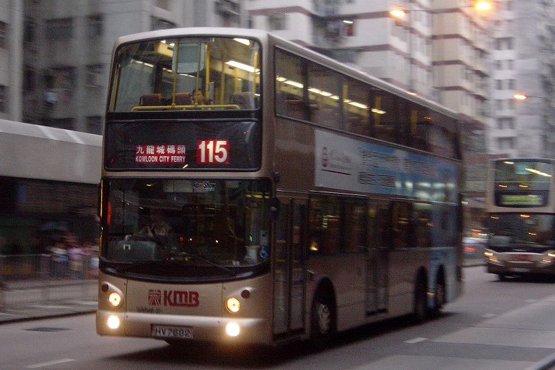 DSC03781.jpg