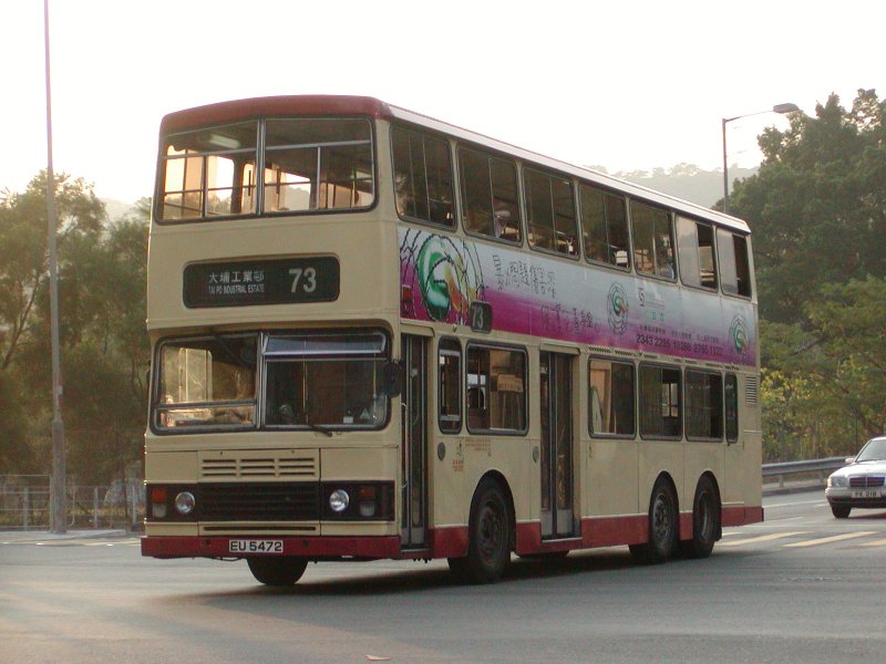 P1010001.jpg