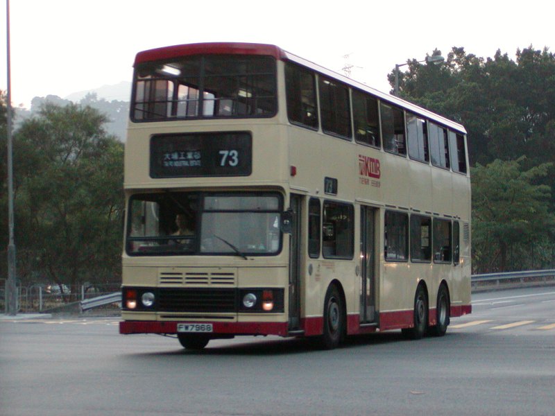 P1010009.jpg