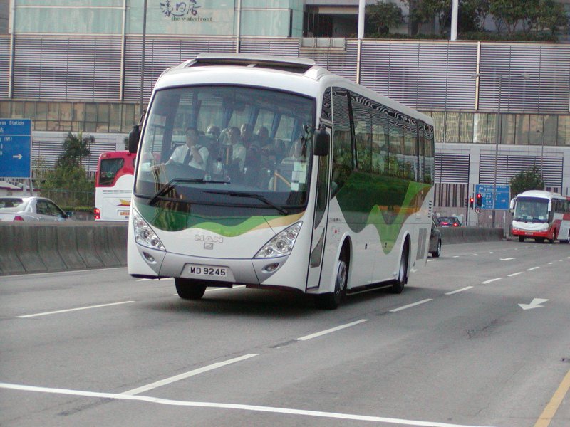 P1010051.jpg