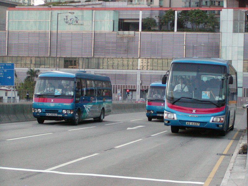 P1010061.jpg